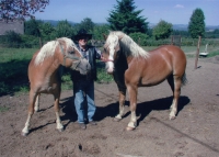 Gustav with his horses