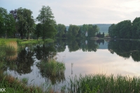 Rybník v zámeckém parku v Lipové