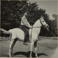 1953 holidays - brigade as a nurse at the horse breeding station in Nová Ves (Research Institute for the Travopol system in Pohořelice)
