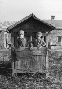 S bratrancem Josefem v Litohlavech před rozestavěným kravínem JZD v boudě, která zbyla po experimentu se studeným odchovem telat, 2. polovina 50. let