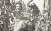 Olga Špalková při vinobraní, 1947