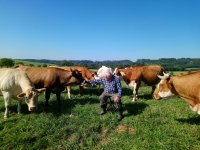 František Sehnal se svým stádem, v Paršovicích 2019