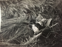 Fotka mŕtvoly strýka Karola Janoštiaka - poručík jazdectva v Jazdeckom priezvednom oddiely, ktorý padol v roku 1941 na Ukrajine 