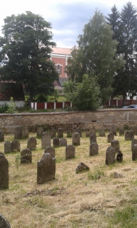 Old Jewish cemetary in Nová Cerekev in Vysočina