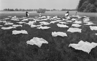 Laying Cloths action near Sudoměř by Zorka Ságlová, May 1970