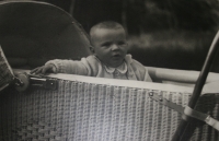 Jarmila Ježová, kolem roku 1953