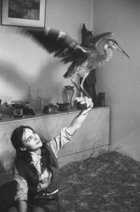 Věra Jirousová and a heron which she found wounded and saved, second half of the 1960s