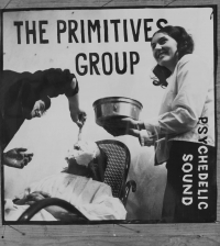 Plakát The Primitives Group