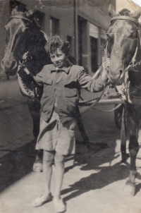 Miloslav Kopfstein s otcovými koňmi (1943)