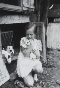 Eva Machková jako dítě s králíky