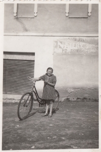 Eva Hoskovcová hledá zboží po jiných obchodech, cca 1943