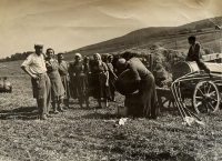 práce na poliach soblahovského družstva