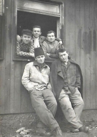 Potato Brigade, Jeseníky Mountains 1958