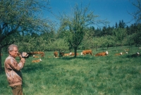 Milan Jindrák, po roce 1989