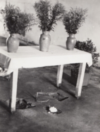 Místo popravy a kanálek označený květinou