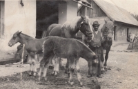 Strýc Marie Kirchnerové