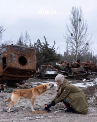 Ярослава Коба годує безпритульну собаку на деокупованій території, Харківська область 