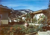 Kolonie zaměstnaneckých domků v Alžíru, 1983