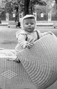 V prvním roce života, 1953