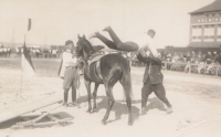 Witness's father Stanislav Zedníček holding a horse during the gymnastic exercise of jumping across a horse, turn of the 1920s and 1930s
