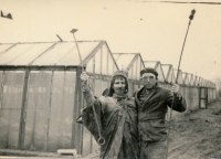 Zahradnictví Velká Chuchle, cca 1973