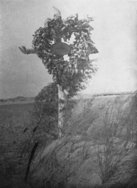 Hrob dědečka z matčiny strany Josefa Hajšmana, který padl za první světové války, v roce 1915, na východní frontě u Lublinu