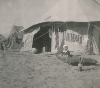 Tomáš Bergmann, Palestina, 1946