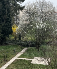 Zahrada za domem v Králově Poli s fontánkou se sochou