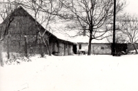 Opuštěné hospodářství ve Velké nad Veličkou, 50. léta