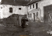 Státní statek v Budově, 60. léta