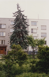 Prostranství, kde se dříve nacházel bazén za budovou kyjovské lékárny