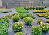 Rodinné zahradnictví, Horní Jelení 20. léta 21. století