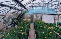 Rodinné zahradnictví, Horní Jelení 20. léta 21. století