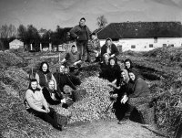 S černým šátkem druhá zleva teta Adély Lasákové Marie Flašková, v JZD Oldřišov, 60. léta