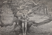 Miroslav Drábek, Zámecký park Ostrov nad Ohří, 80. léta