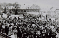 Sametová revoluce v Hustopečích, listopad 1989