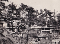 Fotografie z vojenské mise v Koreji, 1953/1954