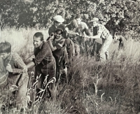 Stavba lyžařského vleku, dětský oddíl Jaroslava Škalouda, 1971