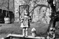 Neteř Erharda Pluškeho Traute, Hannover