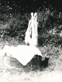 Martin Janíček: "Ruce", instalace Malostranské dvorky, 1981