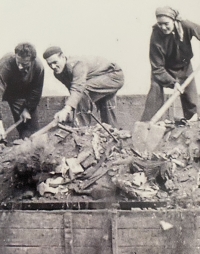 On a summer job, 1950s