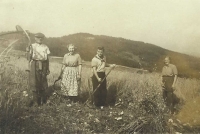 Práce na poli. S tatínkem, sestrou a brigádníkem z Prahy