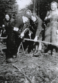 Neodsunutí bučničtí Němci s páskou P jako „práce“ při práci v lese, Walter Basler (mladík) 