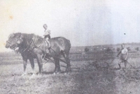 Bratři pamětníka Erhard a Ewald Freyovi v roce 1943