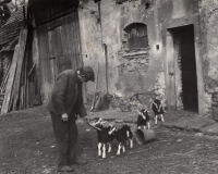 Marie Petrova's grandfather in the yard in Dolní Kralovice