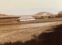 Chlév na Stutenhofu se Svatým kopečkem v Mikulově v pozadí v 90. letech 20. století