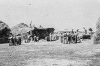 Harvest oin Svatá Helena in Banat, Romania, undated