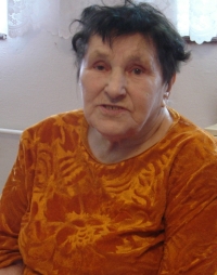 Marie Koubíková v roce 2011