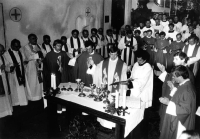 Michael Slavik's Primary Mass (1981)