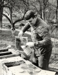 Milan Vybíral při včelaření (fumigace) 